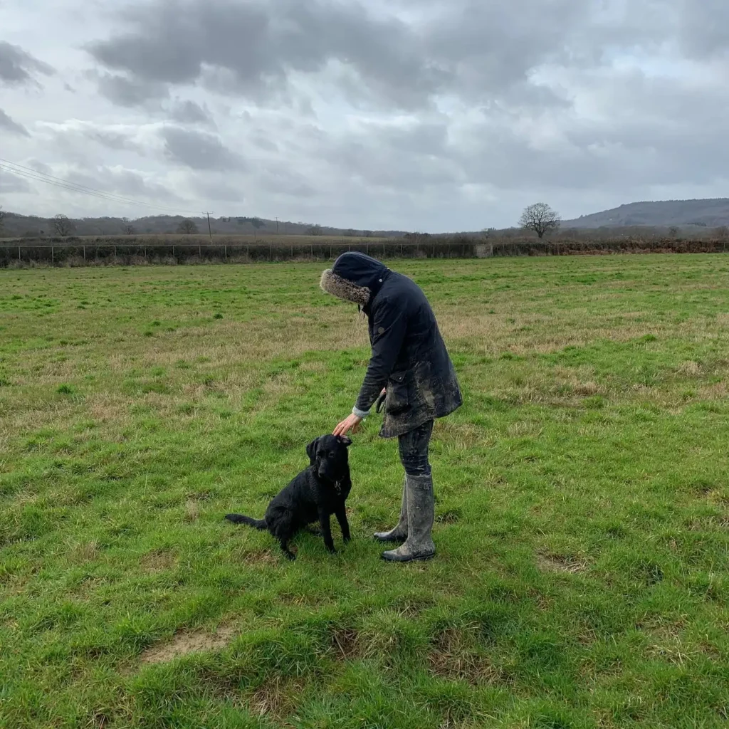 Dog Training Sessions - Hampton Glade Gundog Training